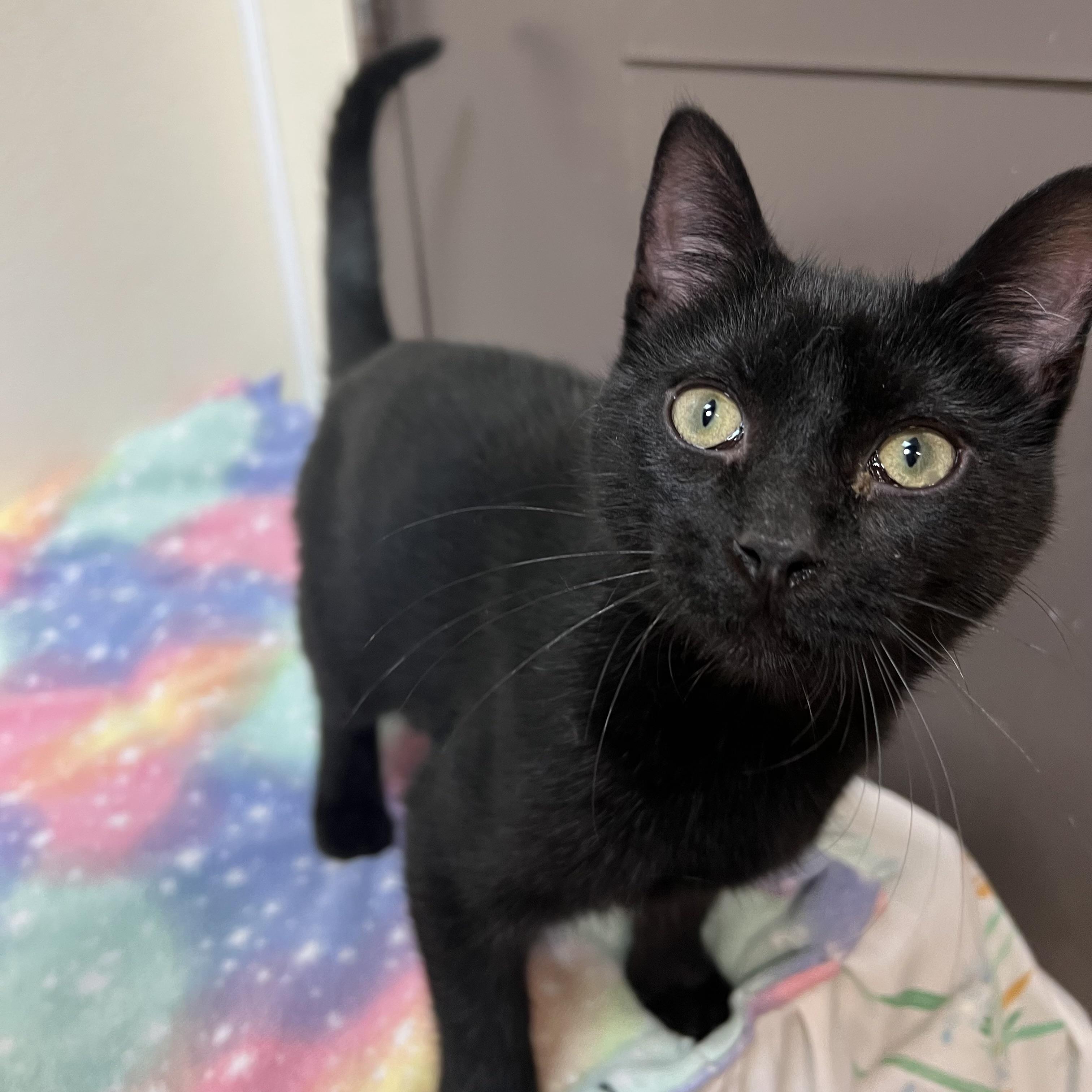 Void **NO FEE** (Sponsored by a John Jensen)