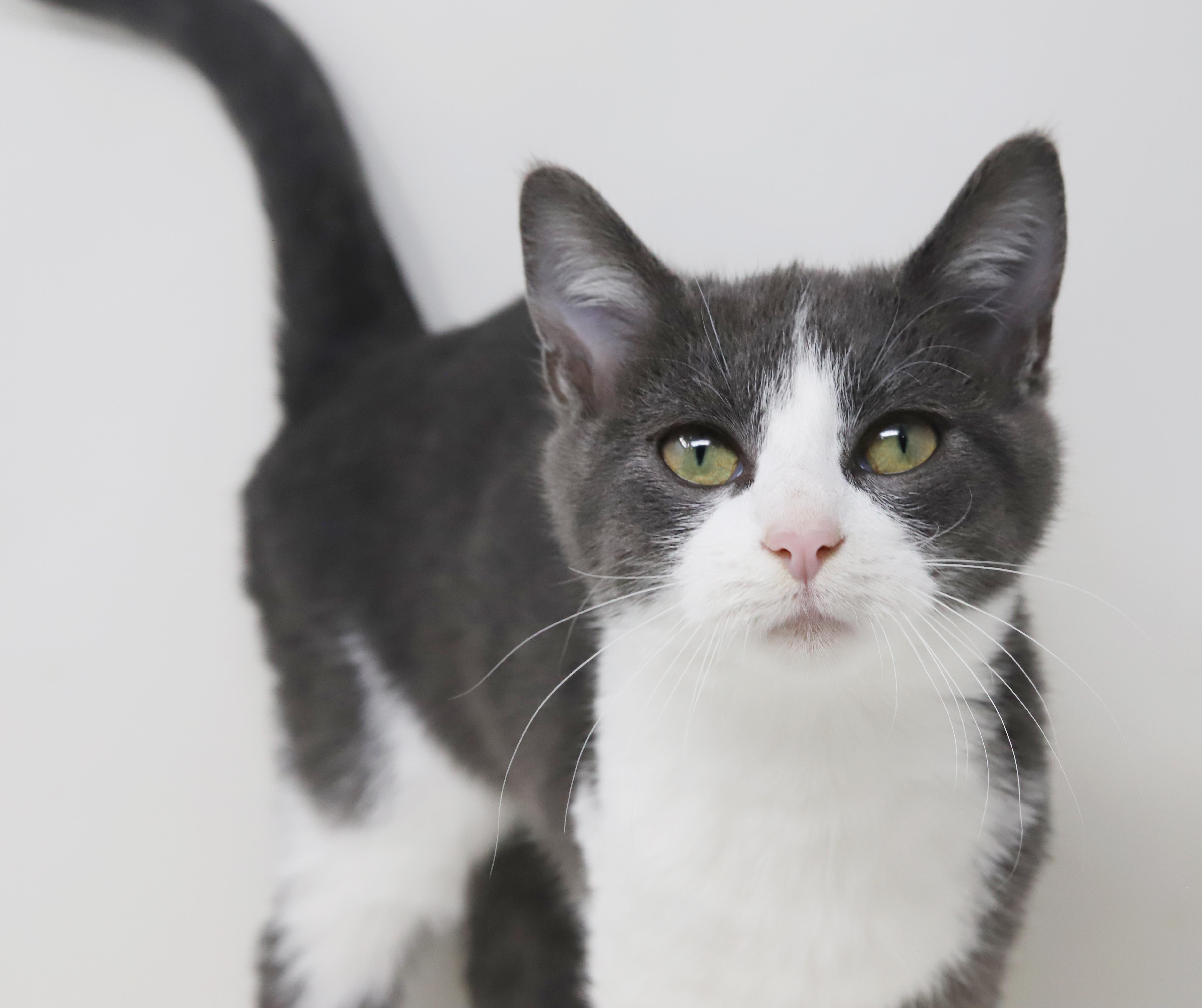 Dopey is a darling love bug!  OLD ENOUGH TO GO SOLO!!