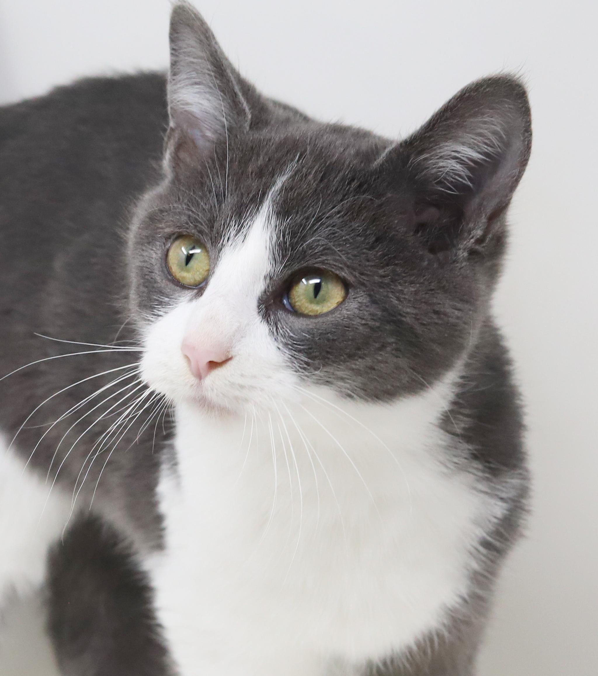 Dopey is a darling love bug!  OLD ENOUGH TO GO SOLO!!