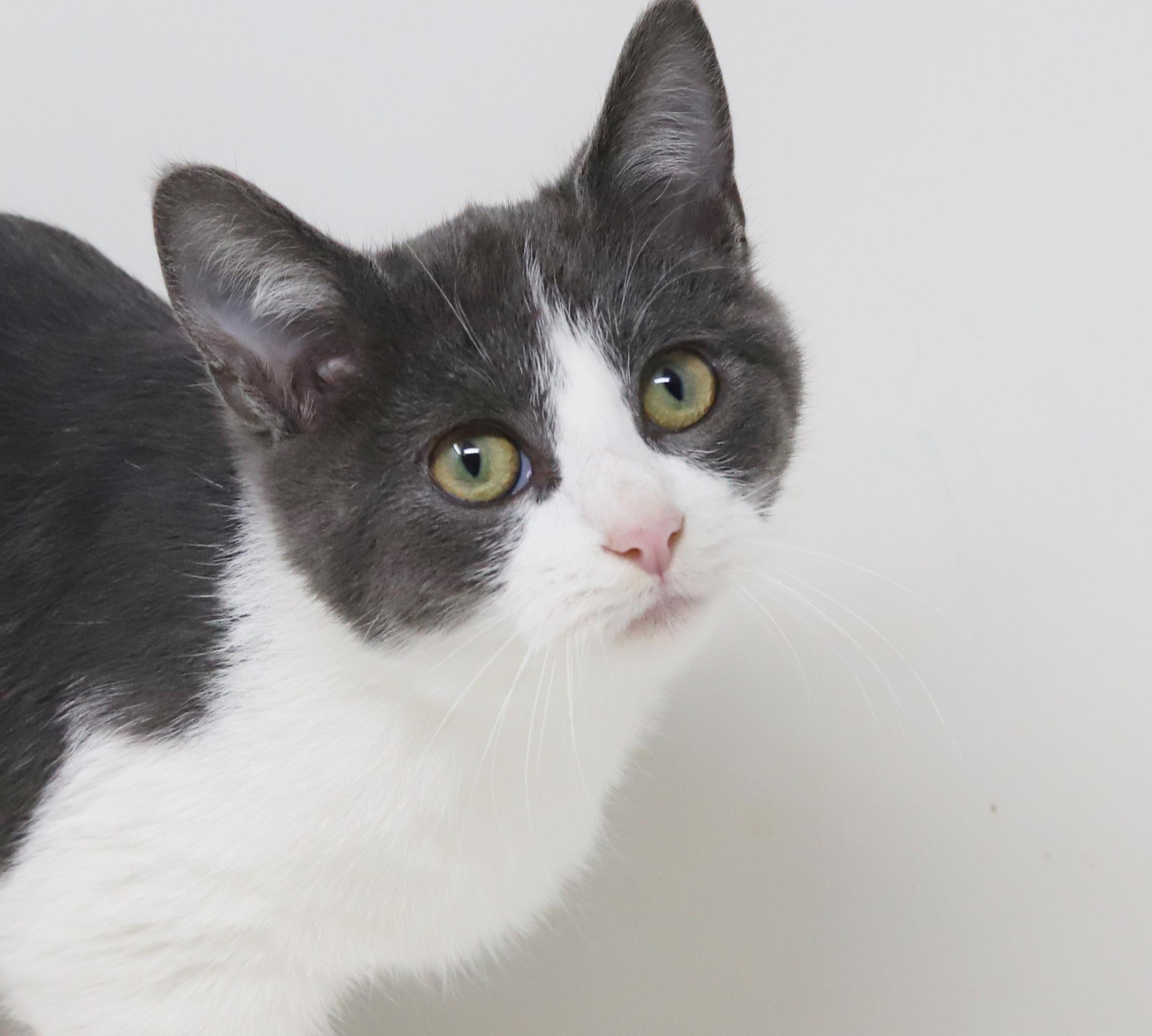 Dopey is a darling love bug!  OLD ENOUGH TO GO SOLO!!