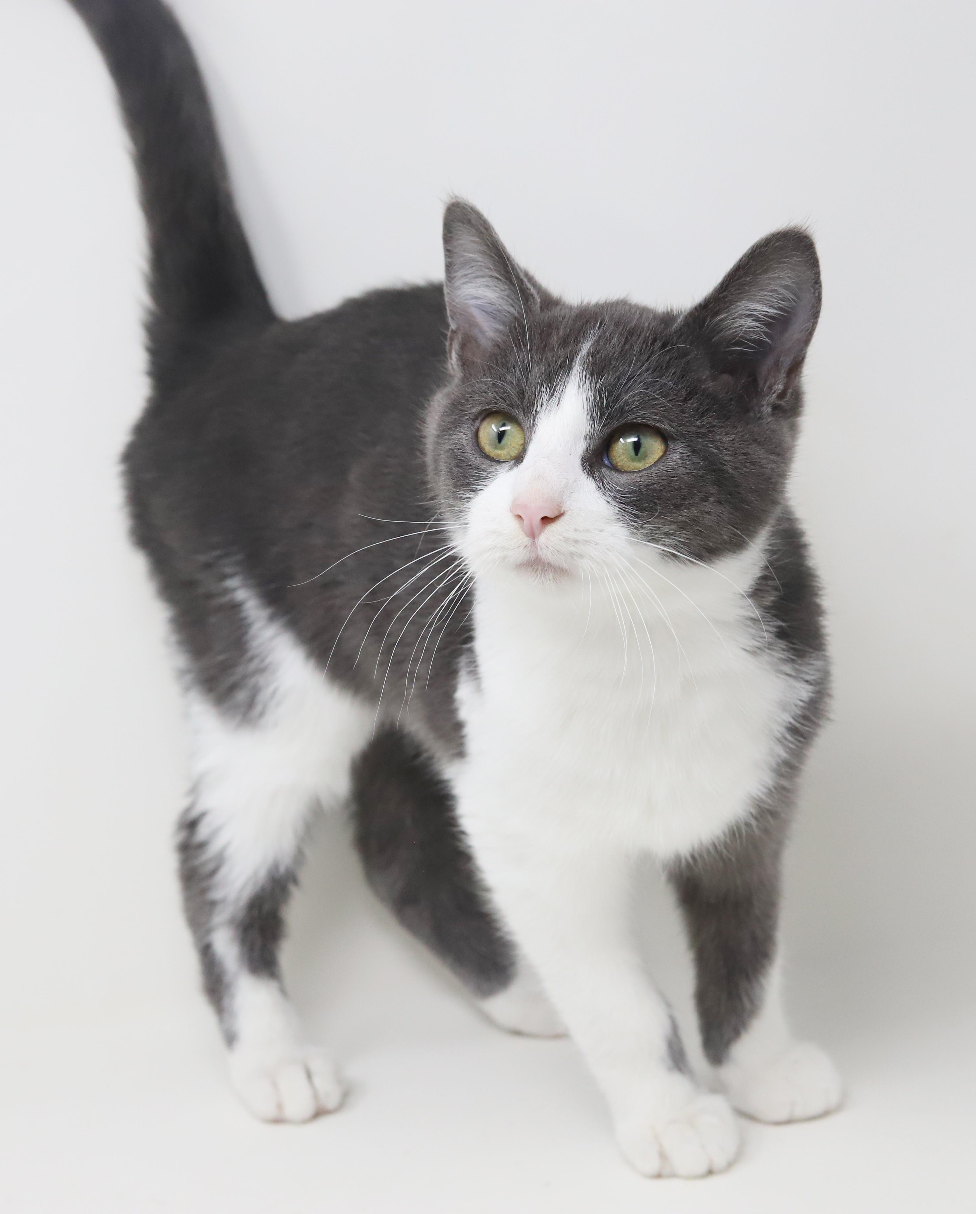 Dopey is a darling love bug!  OLD ENOUGH TO GO SOLO!!