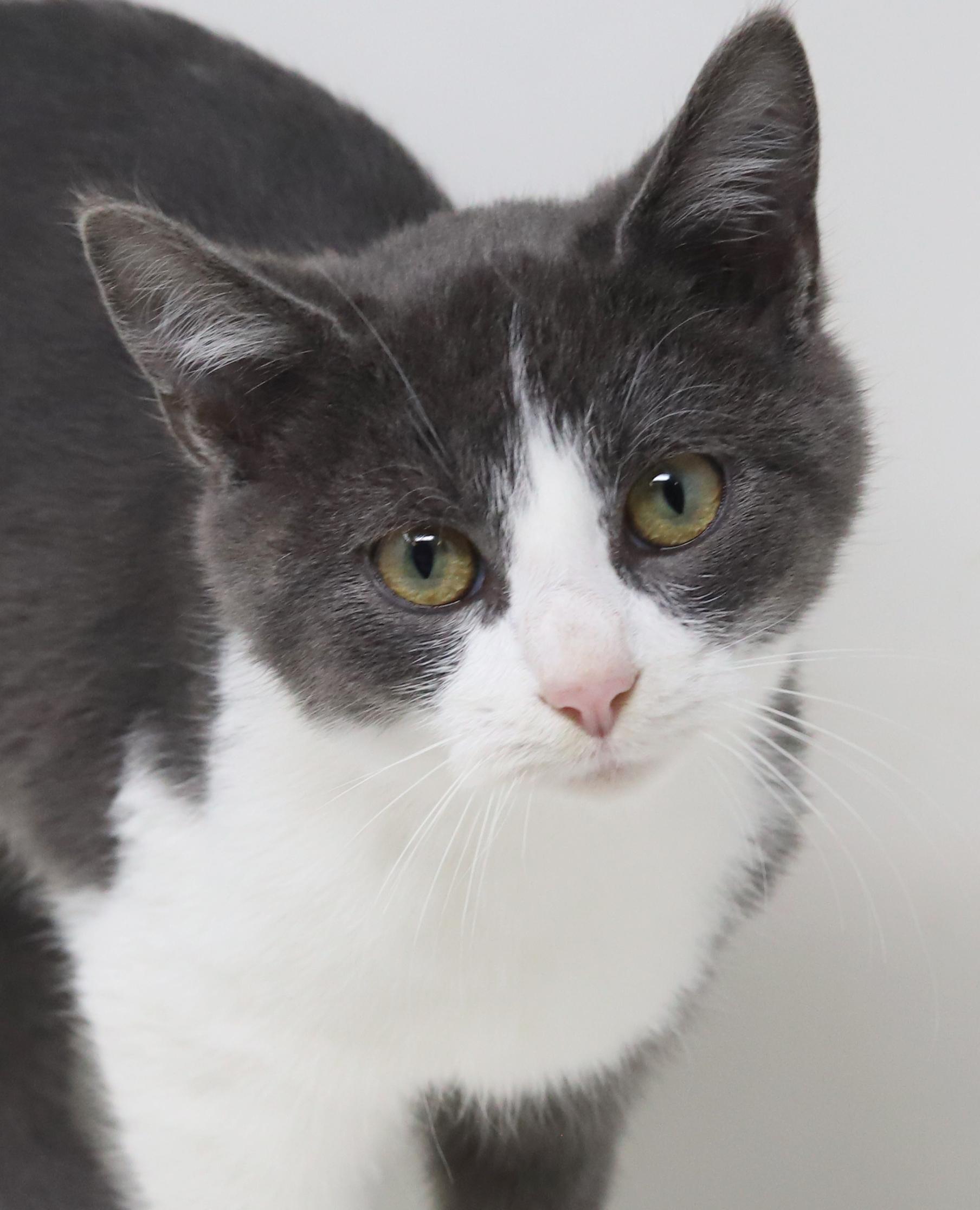 Dopey is a darling love bug!  OLD ENOUGH TO GO SOLO!!