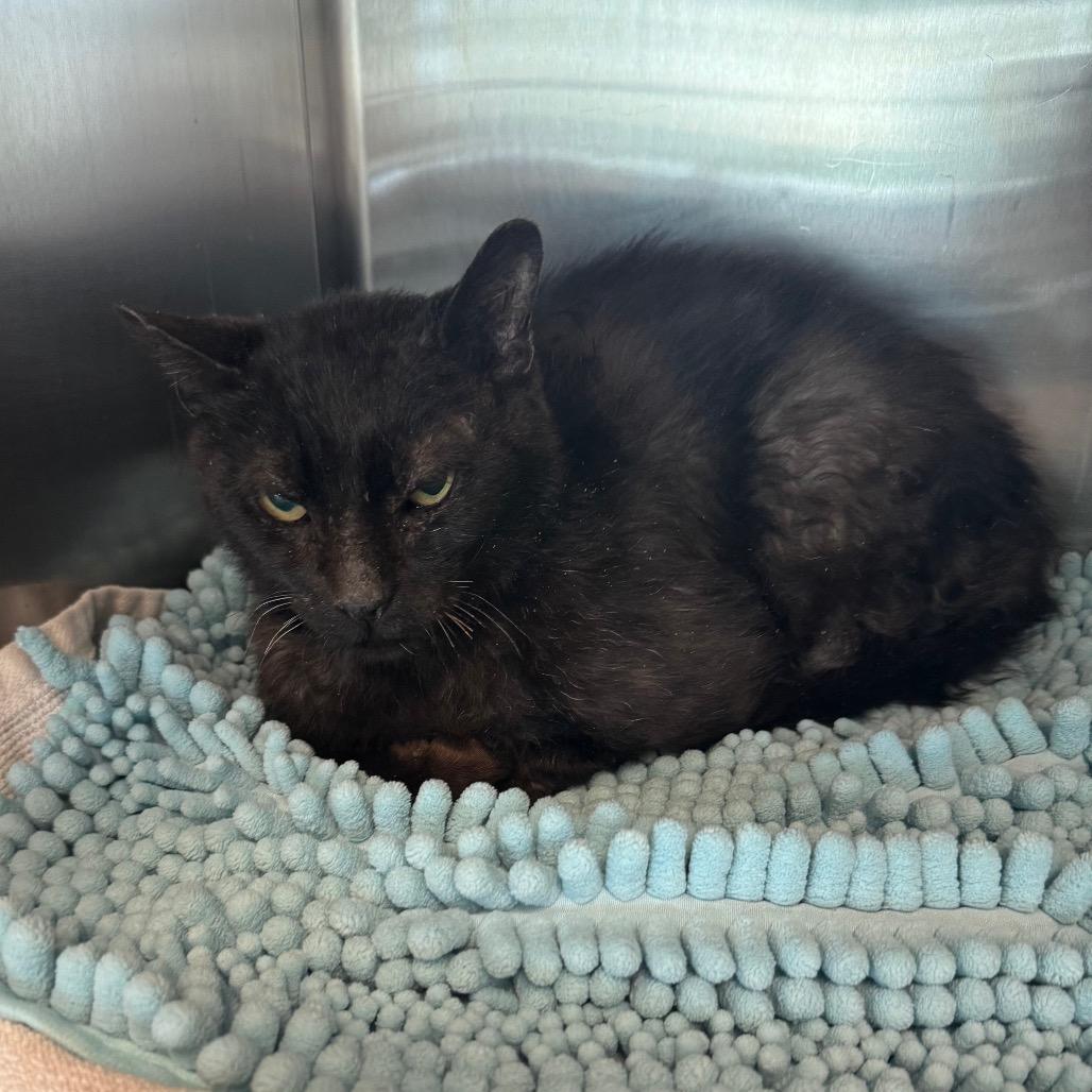 Slurpee — thumbnail 5