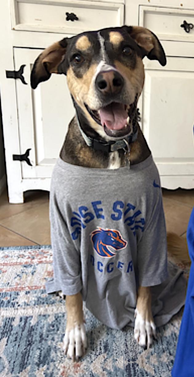 Marley — thumbnail 2