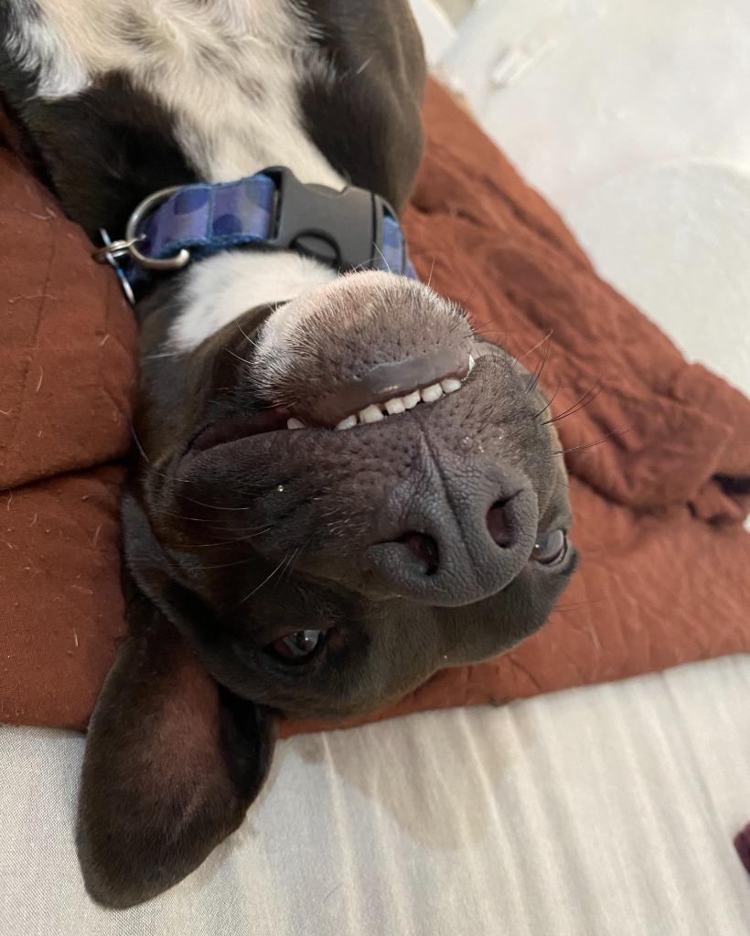 Summer — thumbnail 4