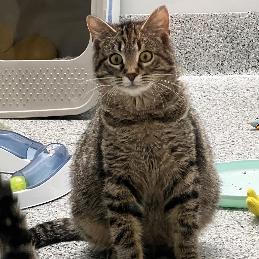 Jelly — thumbnail 2