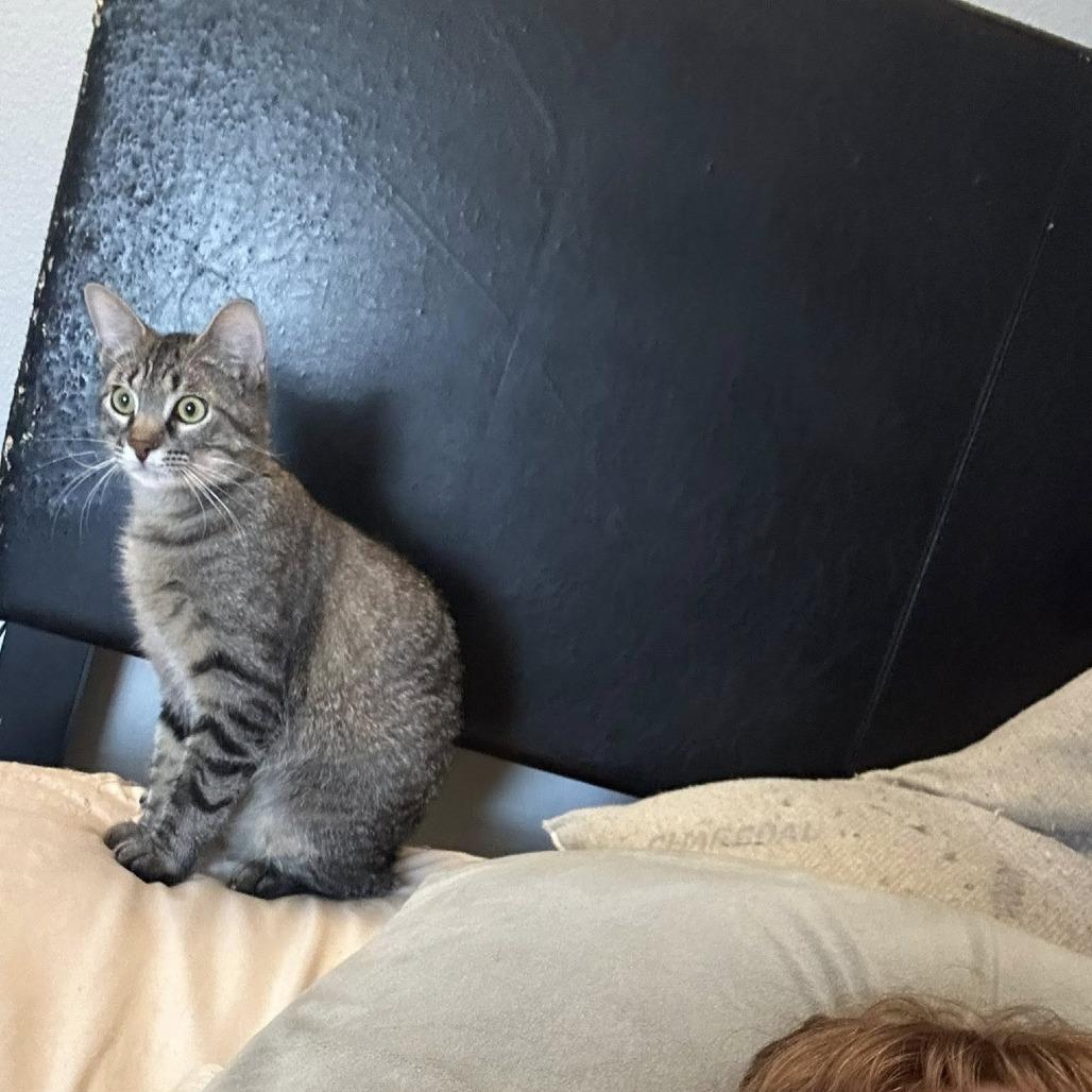 Jelly — thumbnail 3