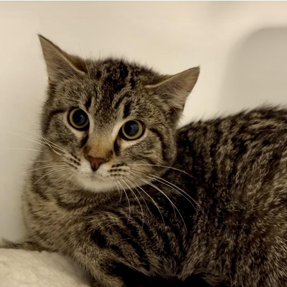 Jelly — thumbnail 4