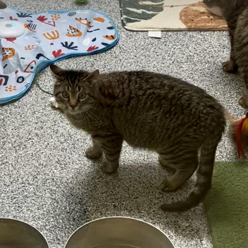 Jelly — thumbnail 5