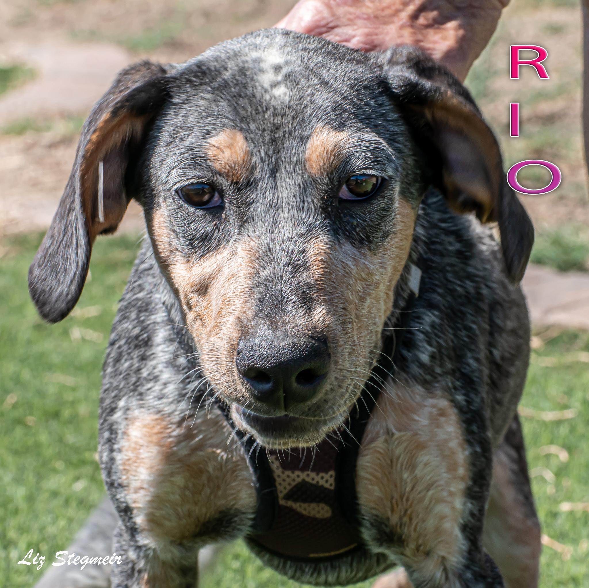 Rio, Young Female unknown