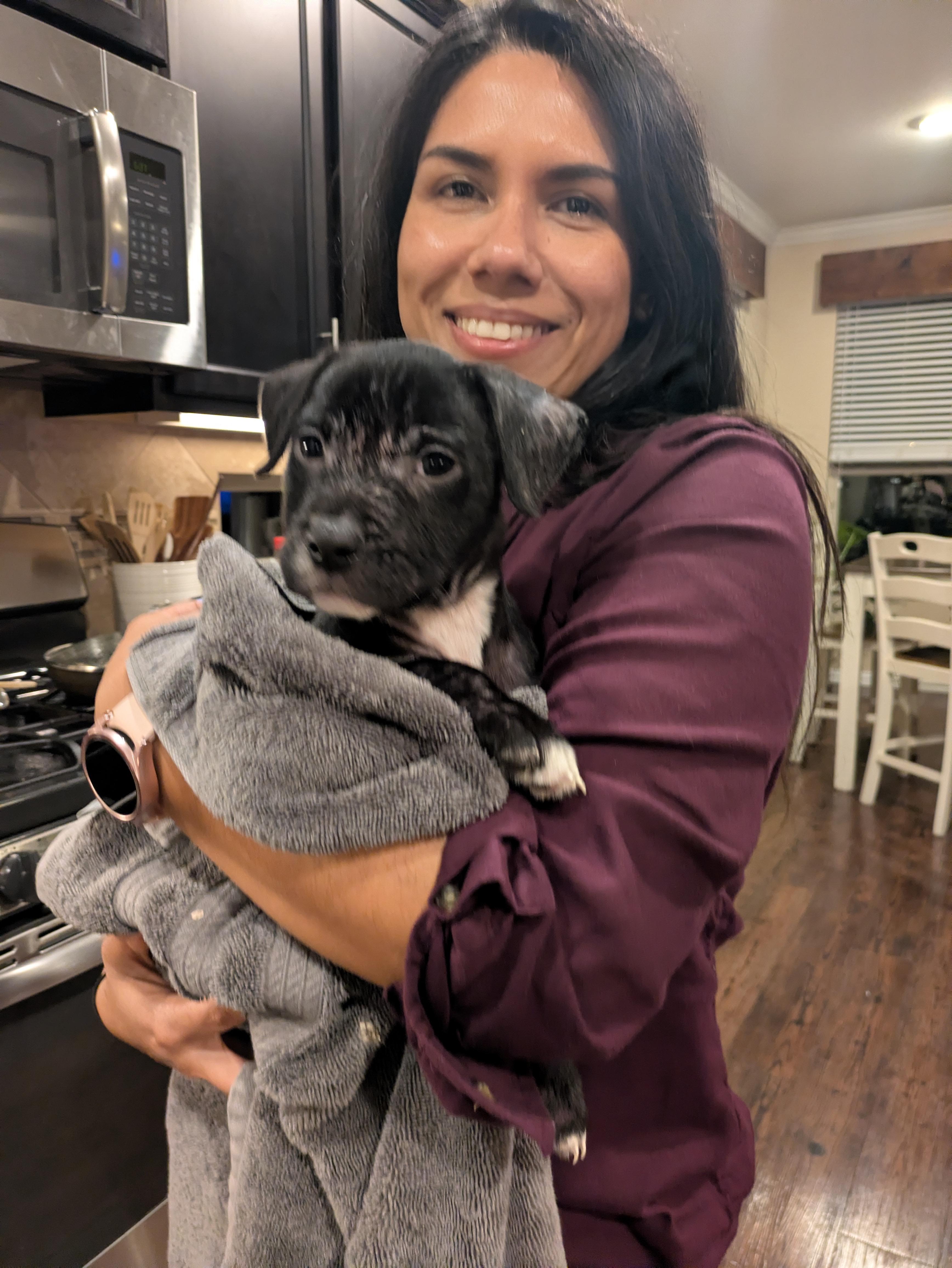 Enlarge Walle, a ADOPTABLE mixed breed in Tallahassee, FL image 3/4