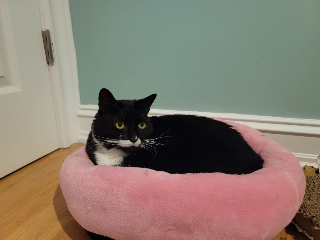 Penny