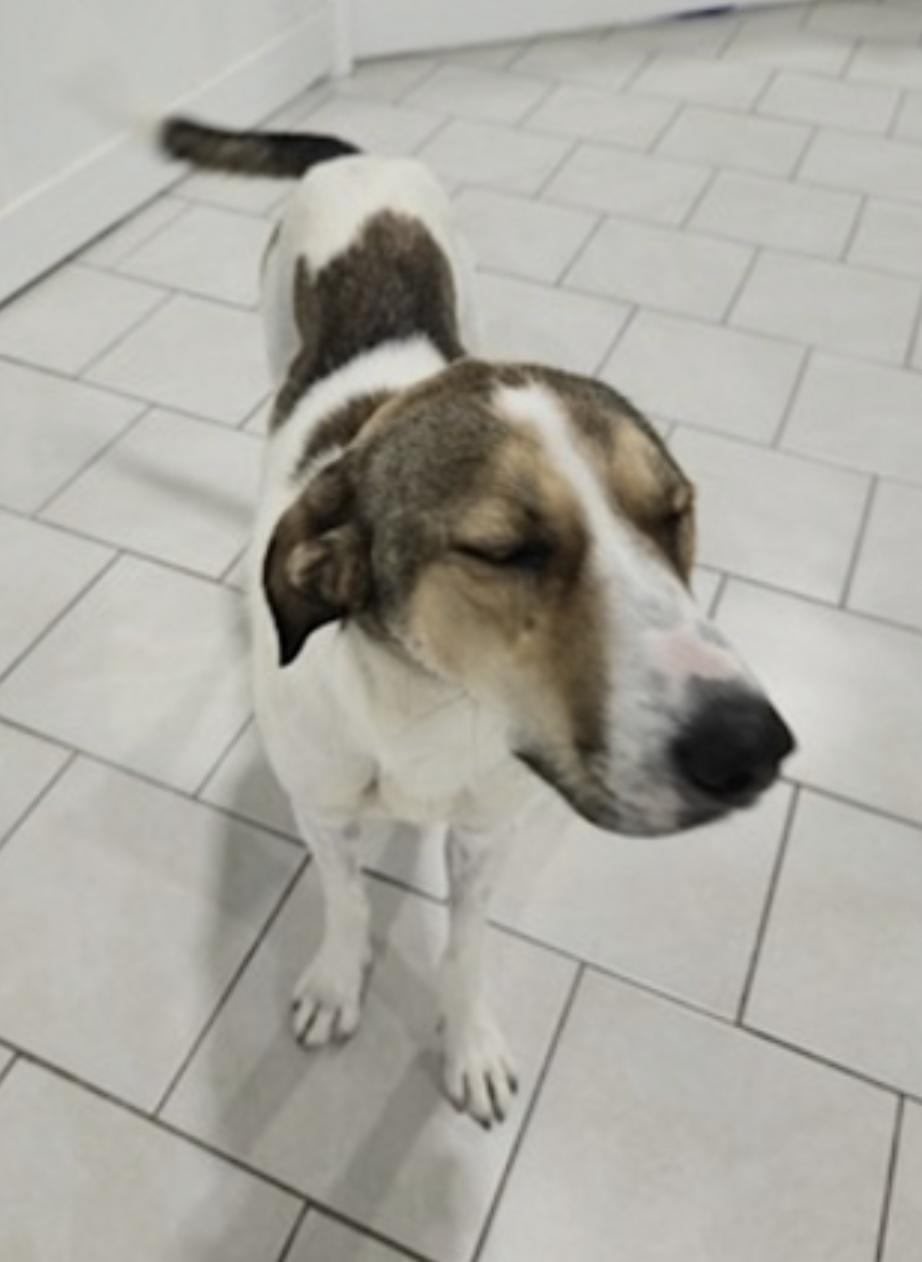 Jimmy — thumbnail 2