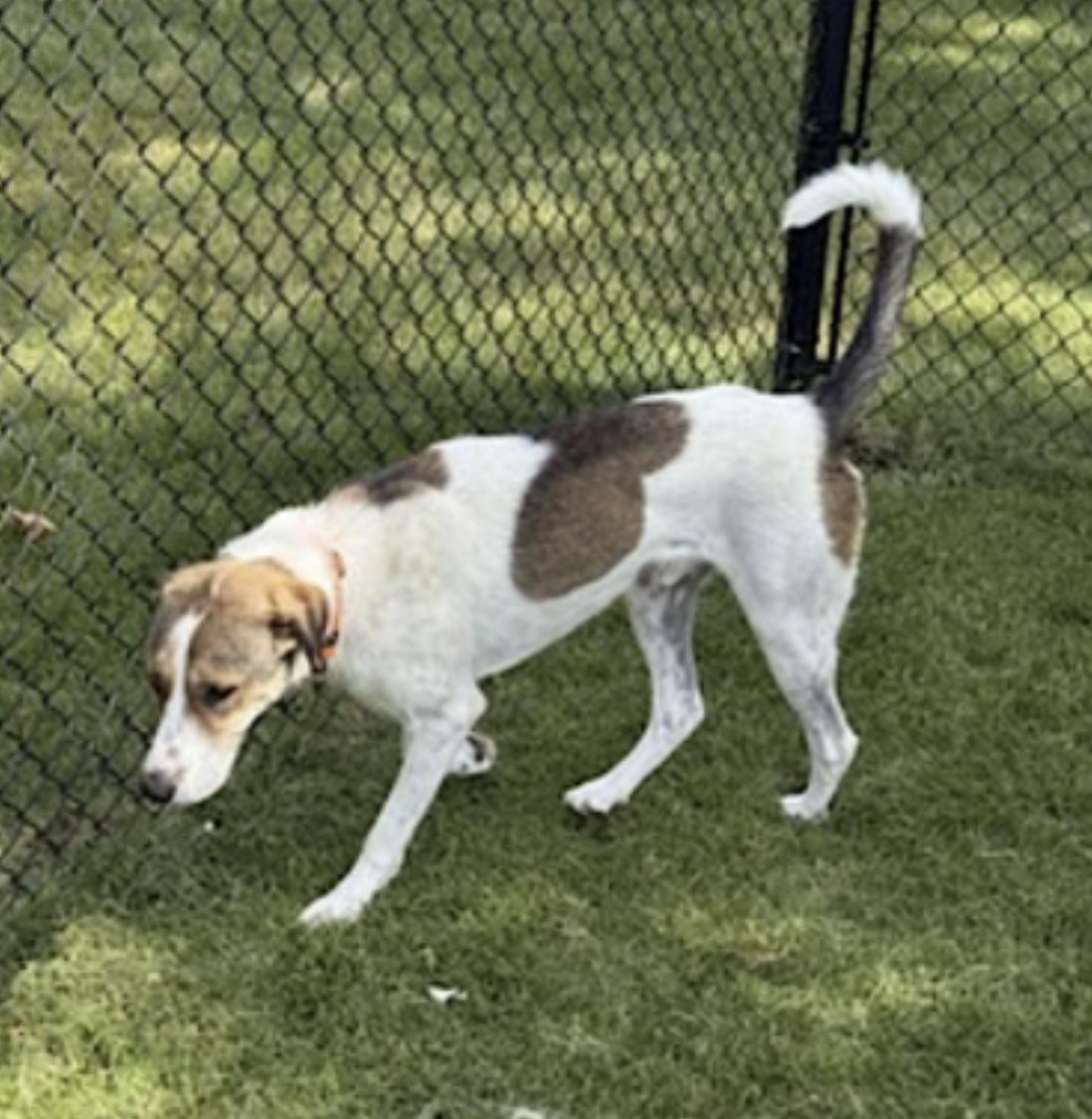 Jimmy — thumbnail 4