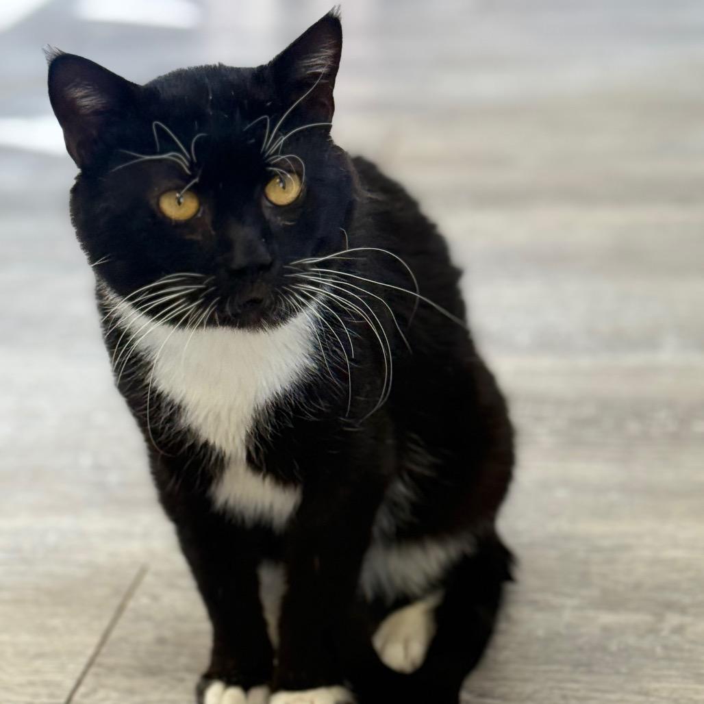 Fishy Glub Glub — thumbnail 2