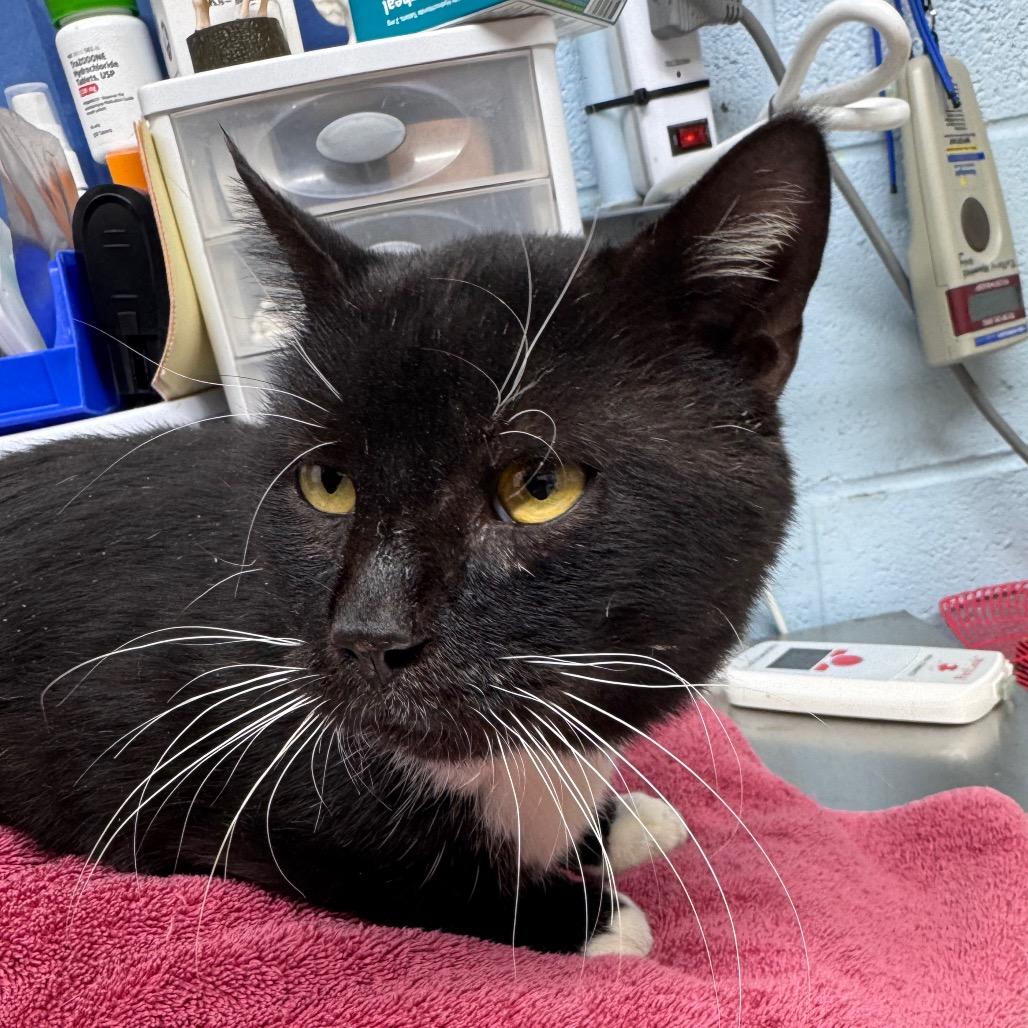 Fishy Glub Glub — thumbnail 3