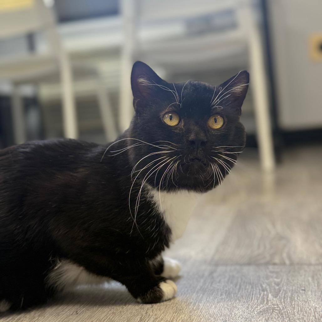 Fishy Glub Glub — thumbnail 4