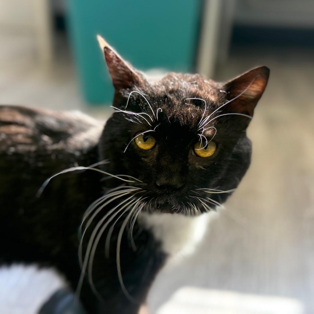 Fishy Glub Glub — thumbnail 5