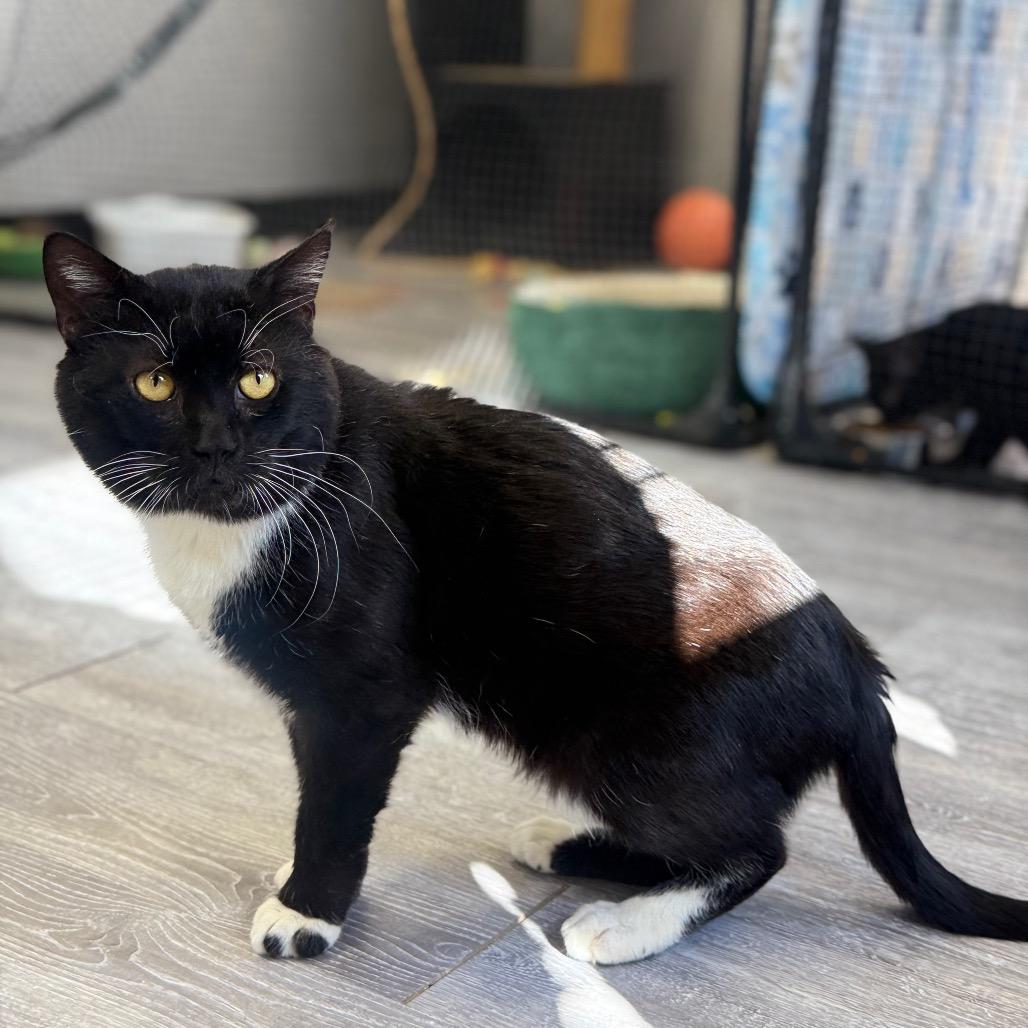 Fishy Glub Glub — thumbnail 6