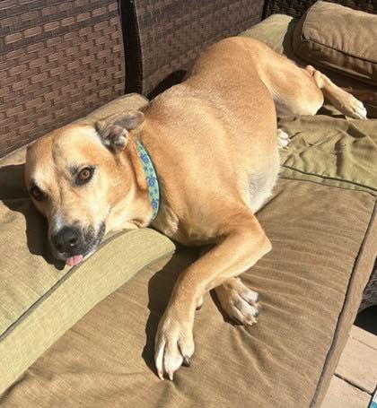 Kaz (20260112-05) — thumbnail 3