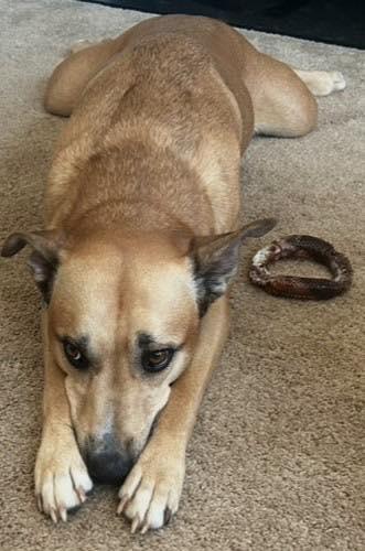 Kaz (20260112-05) — thumbnail 4