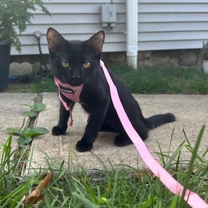 Whitney with Summer, Freddie
