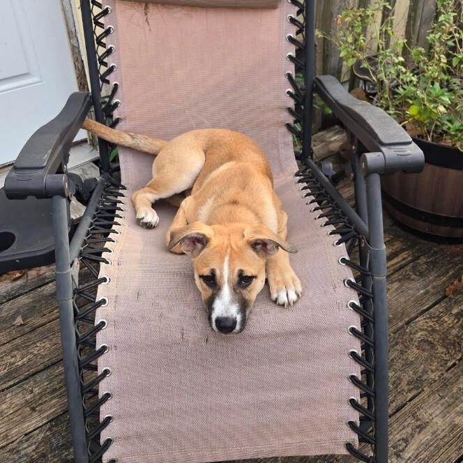 Fruity Pebble thumbnail 4