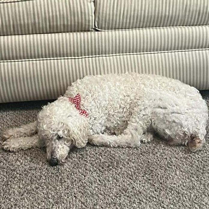 Cloud 'Belle' — thumbnail 2