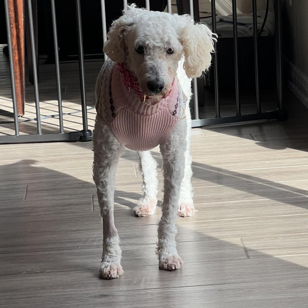 Cloud 'Belle' — thumbnail 3