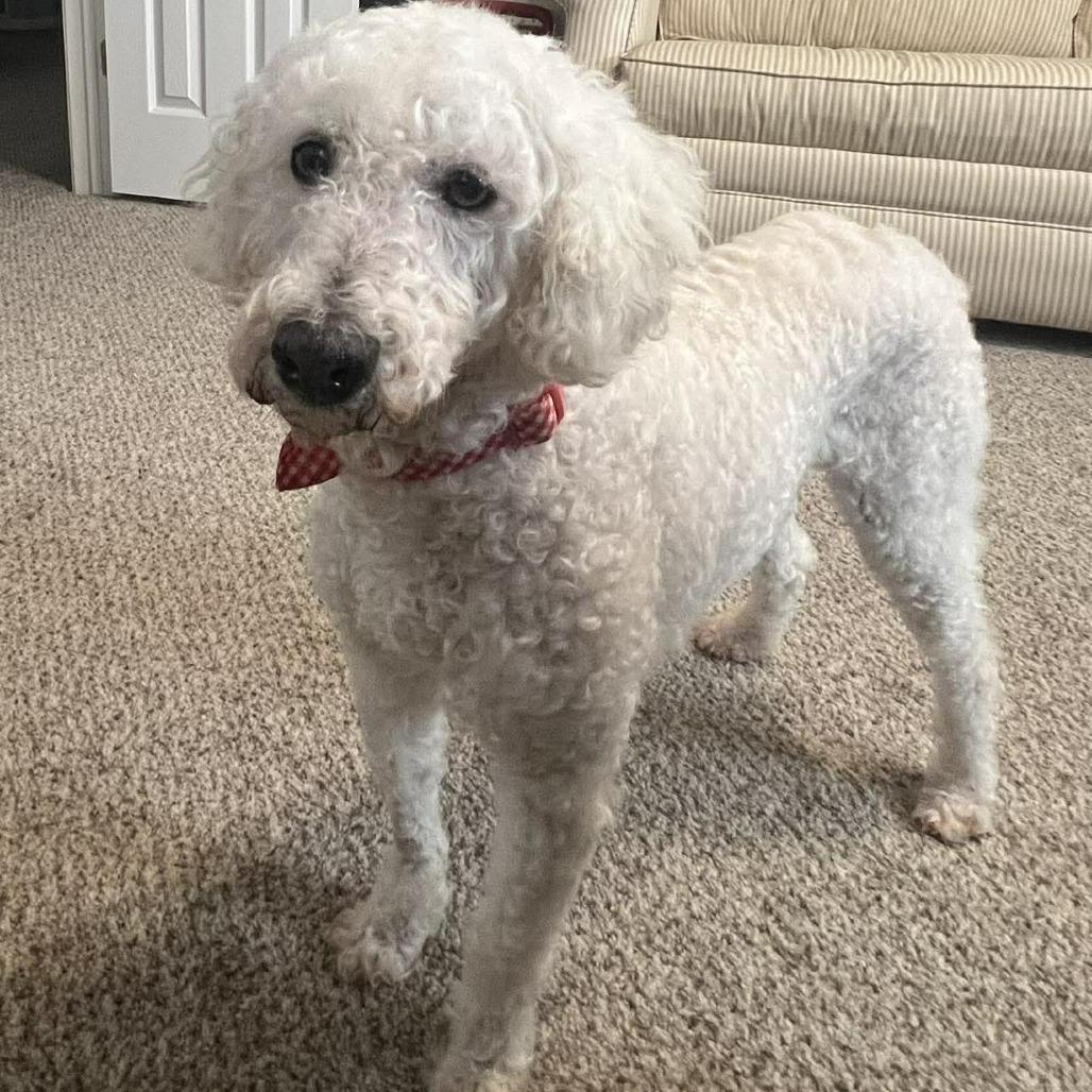 Cloud 'Belle' — thumbnail 4