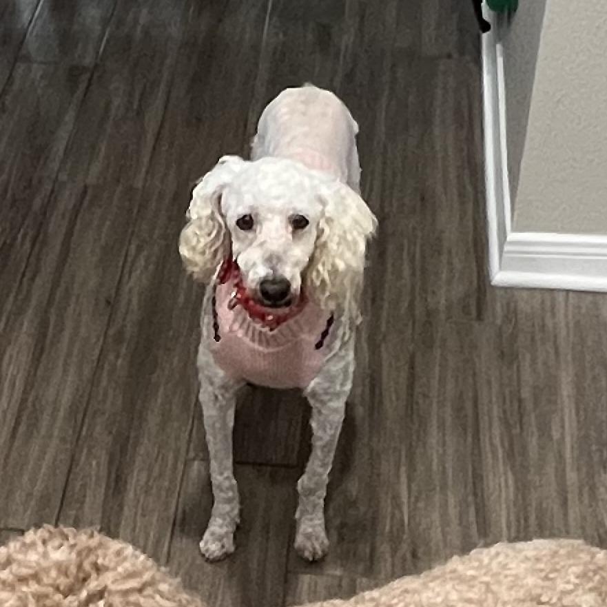 Cloud 'Belle' — thumbnail 6