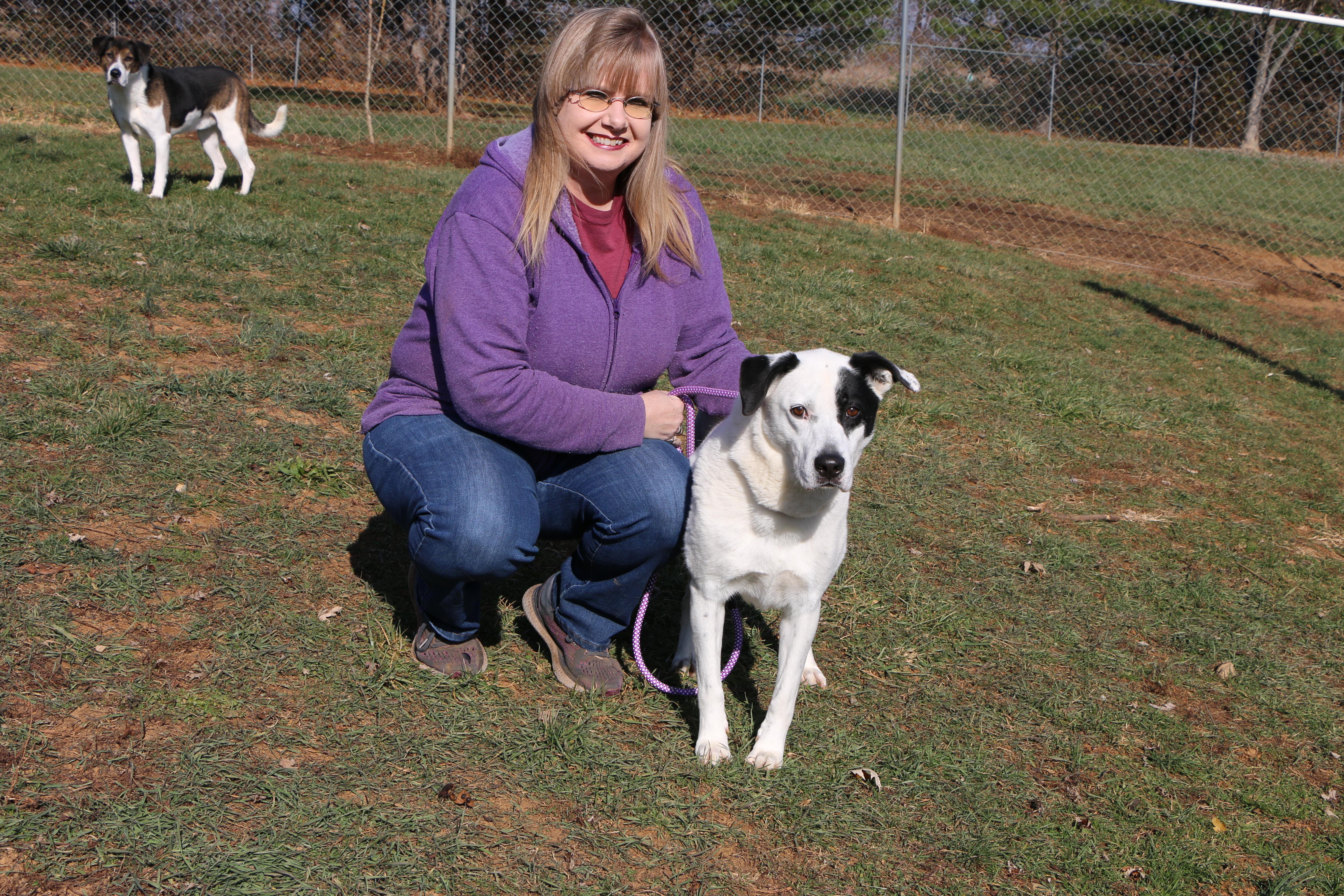 Enlarge Speckles, a Adoptable mixed breed in Charles Town, WV image 4/5