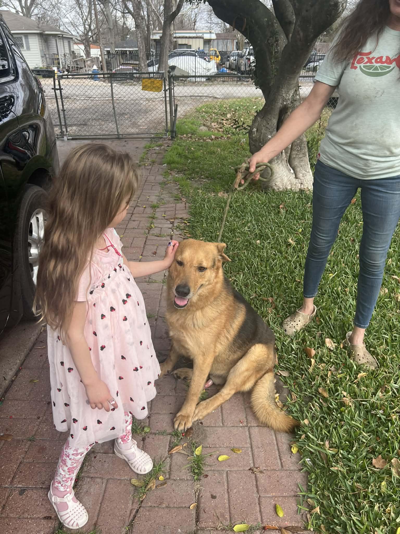 PELUCHE GS — thumbnail 2