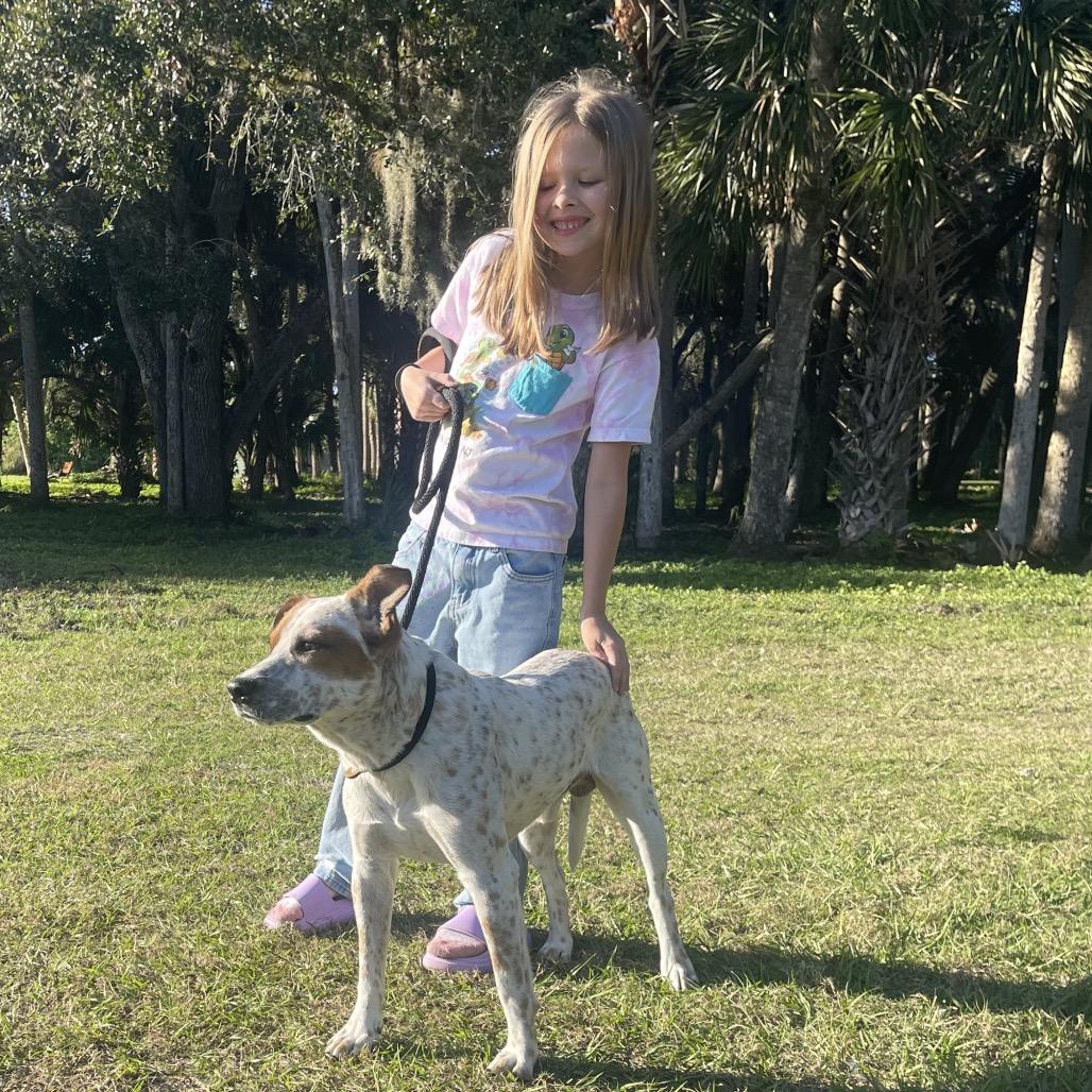 Enlarge ELFIE, a Adoptable mixed breed in Indiantown, FL image 4/6