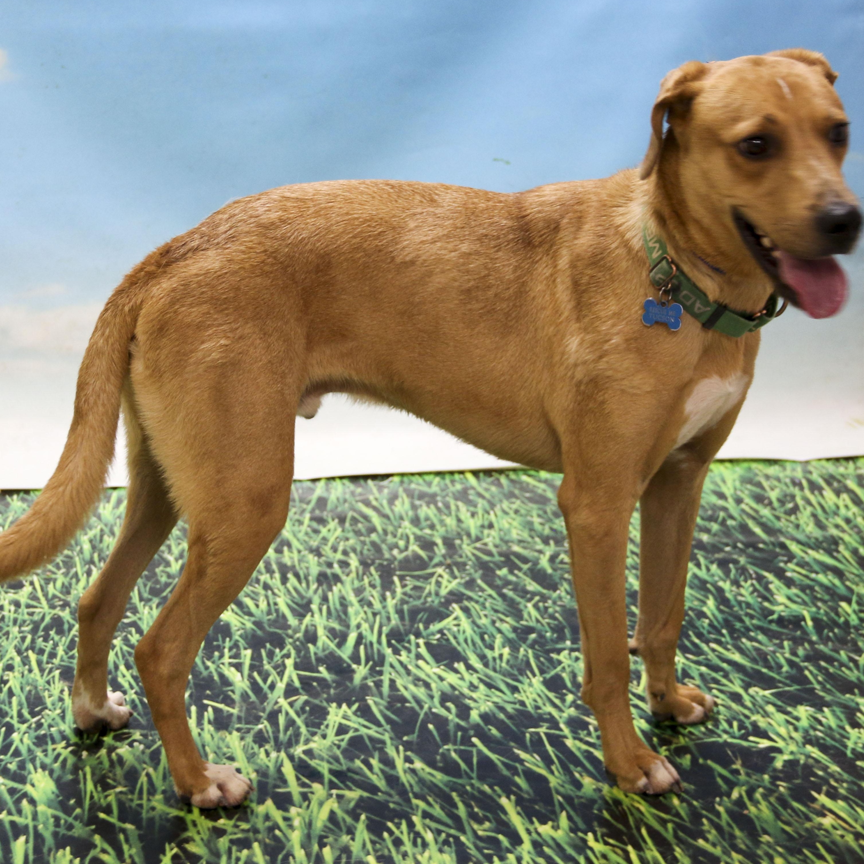 Roscoe photo 2