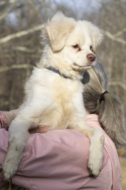 Quinn — thumbnail 2