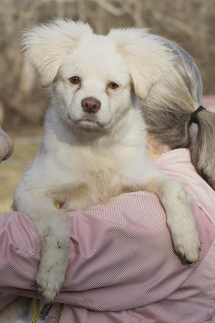 Quinn — thumbnail 3