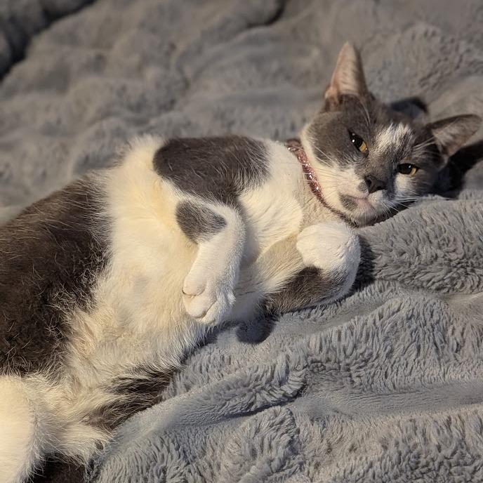 Cat Mcafee thumbnail 4