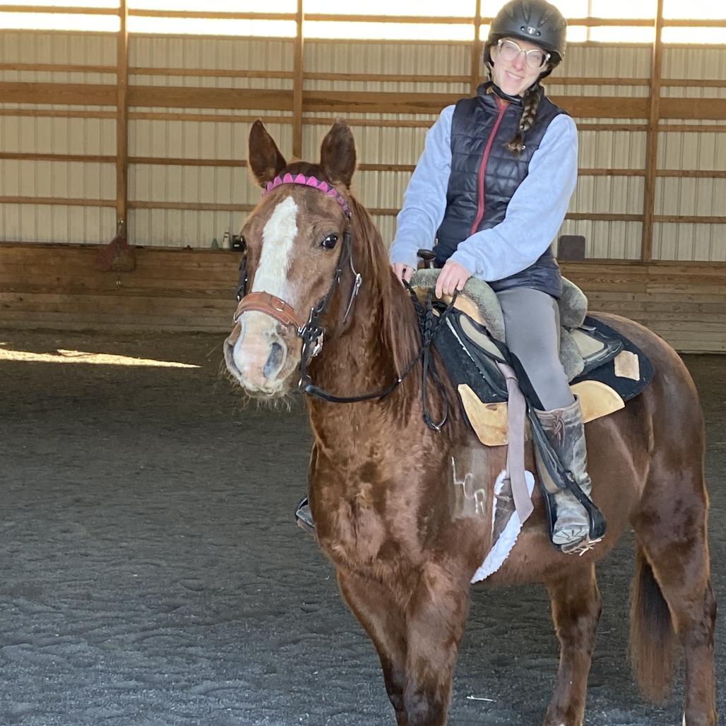 Jasper, a Adoptable Quarterhorse in Quakertown, PA image 2/3