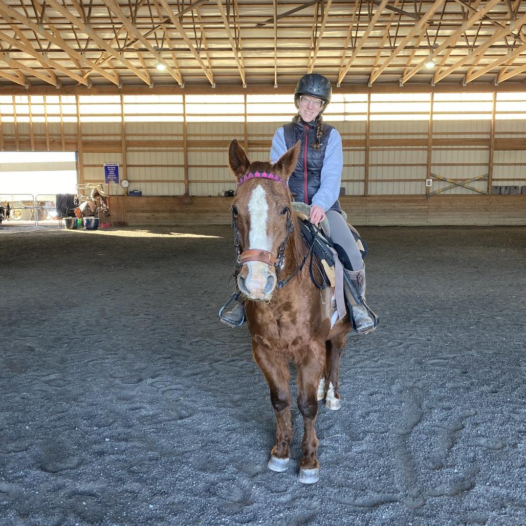 Jasper, a Adoptable Quarterhorse in Quakertown, PA image 3/3