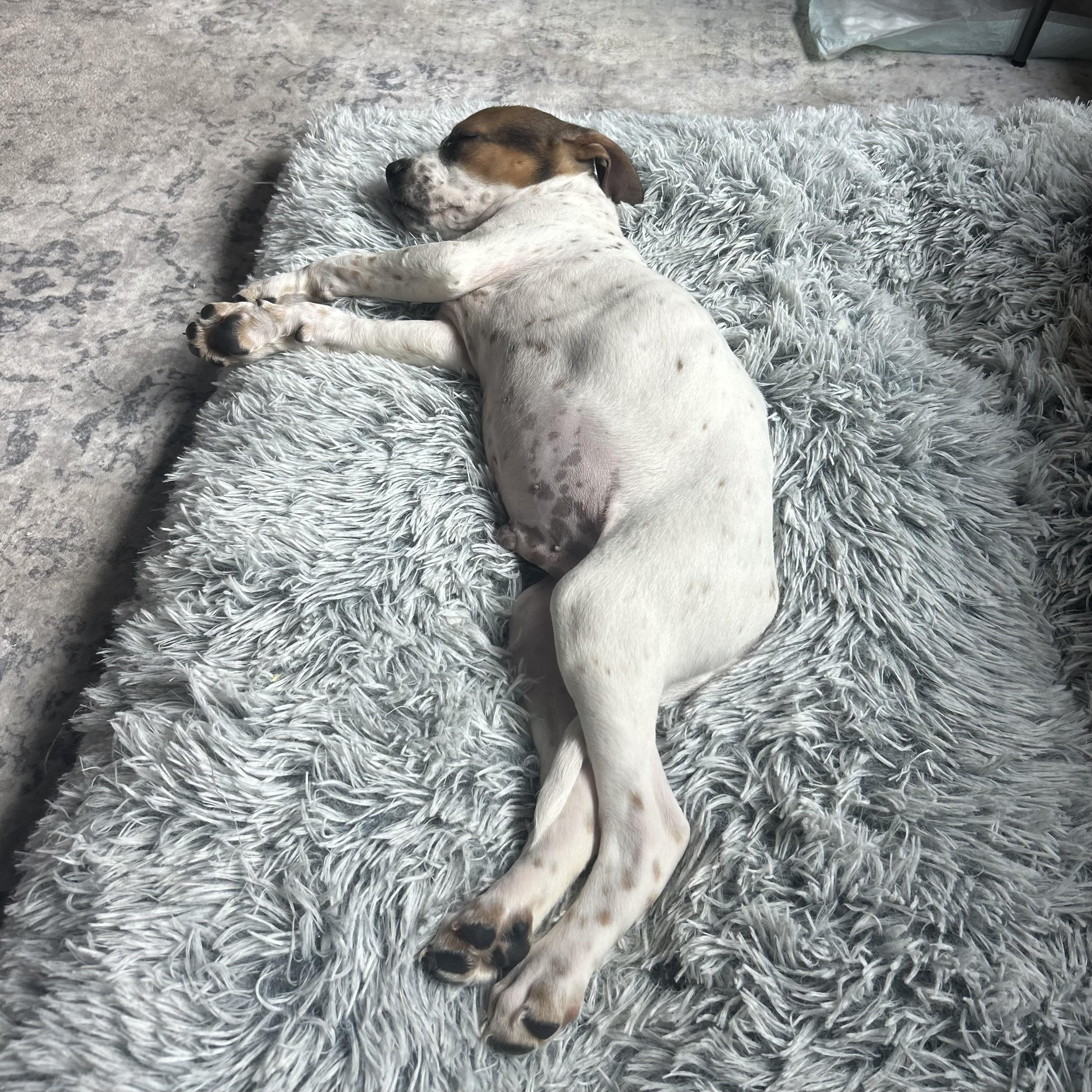 Espresso — thumbnail 2