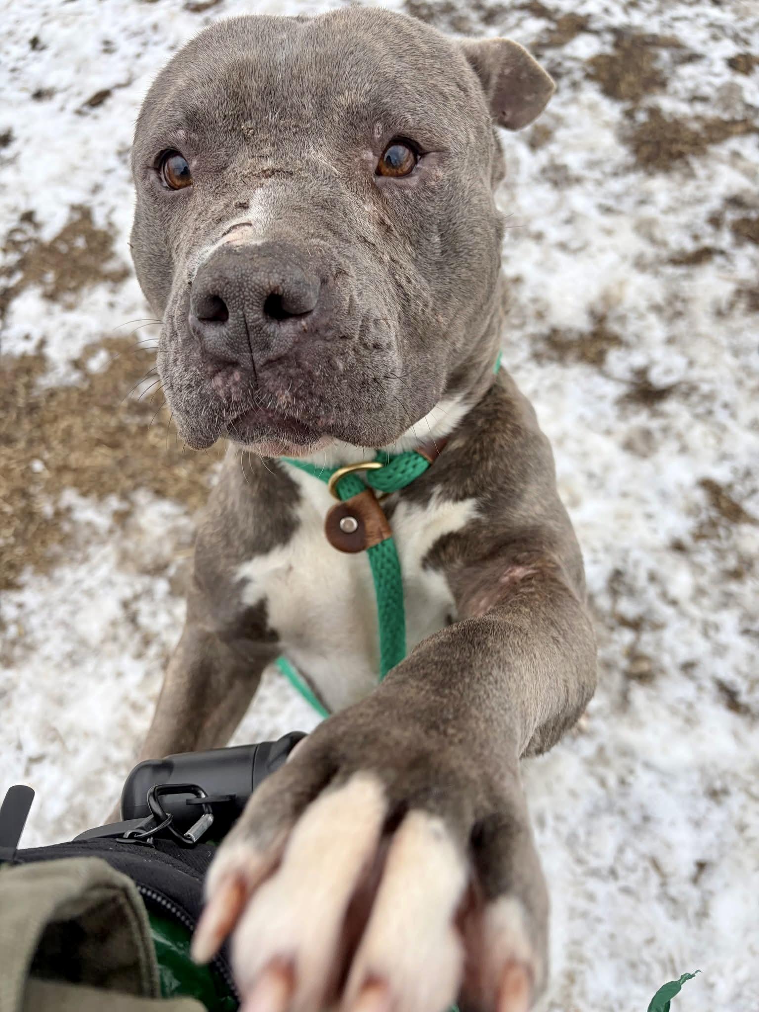 Slater — thumbnail 2