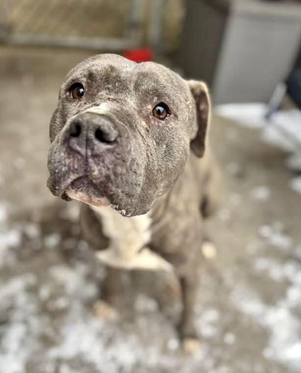 Slater — thumbnail 3