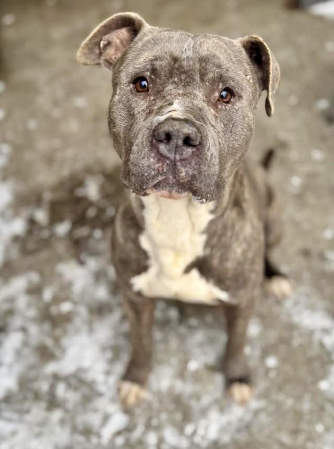 Slater — thumbnail 4