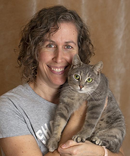 Enlarge Hazel, a ADOPTABLE Tabby in Chicago, IL image 5/6