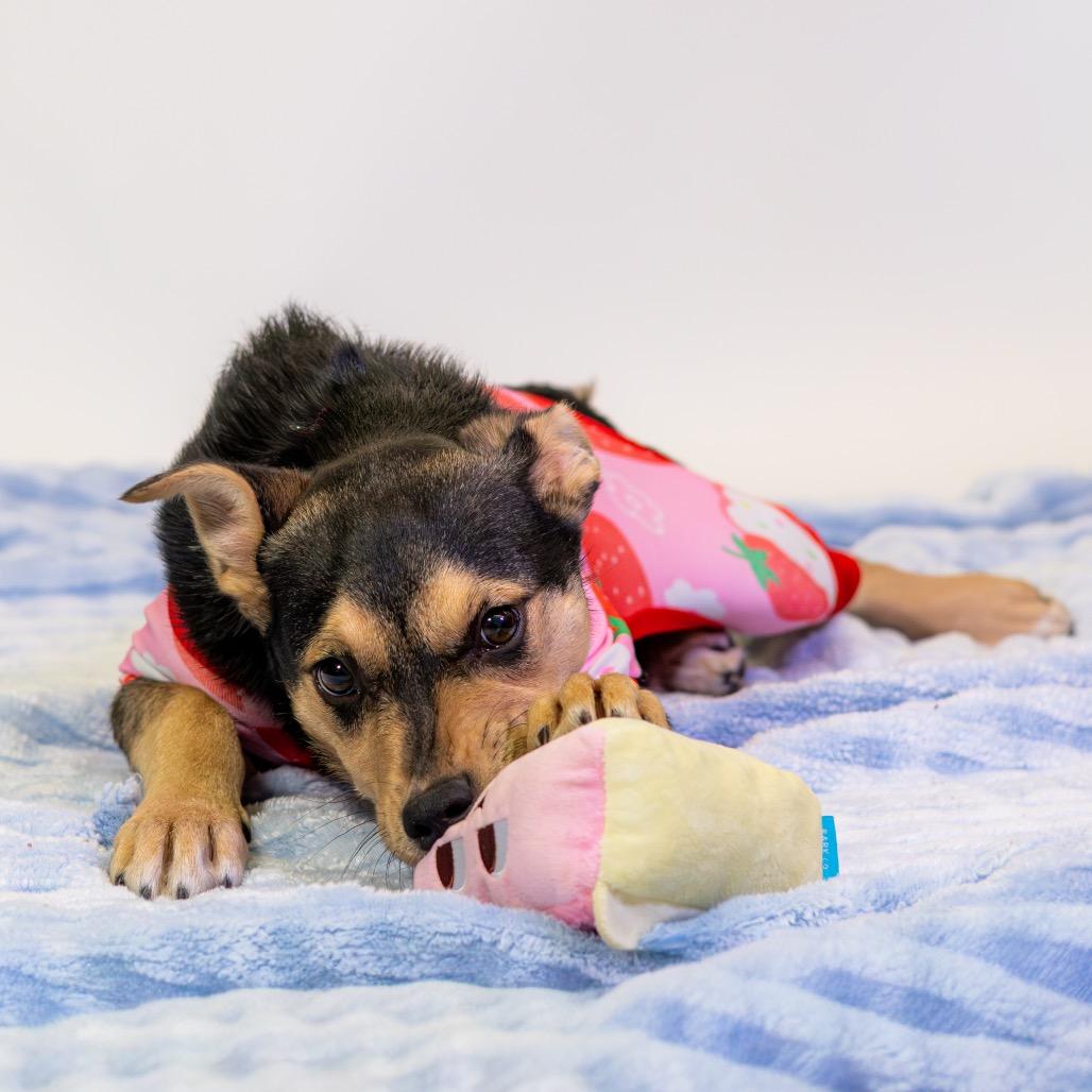 Dana — thumbnail 2