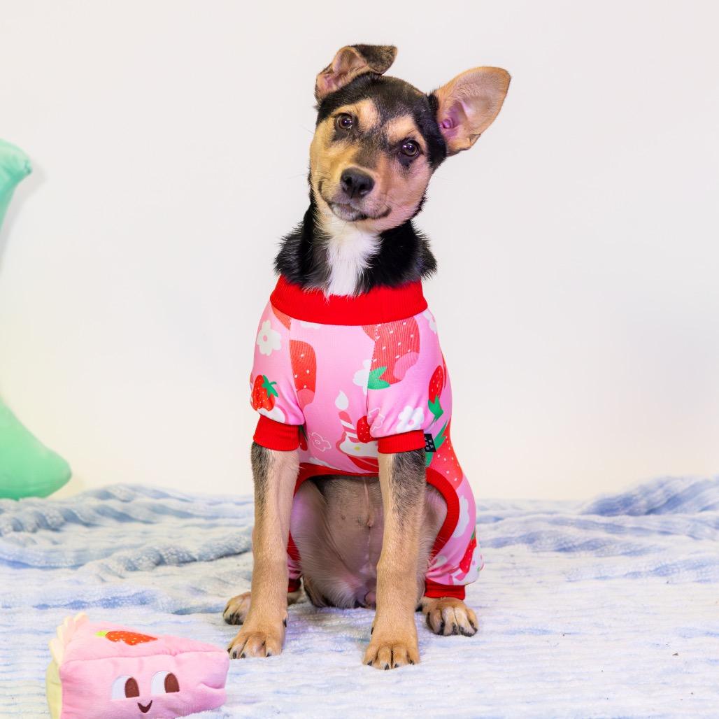 Dana — thumbnail 3