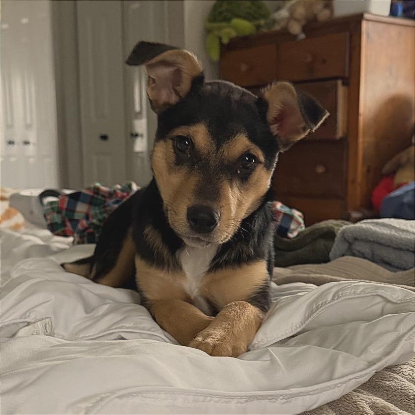 Dana — thumbnail 4