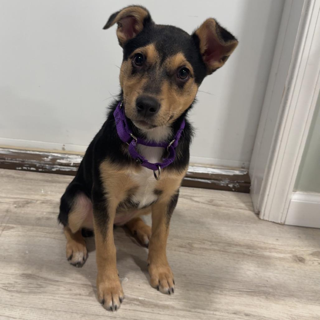 Dana — thumbnail 5