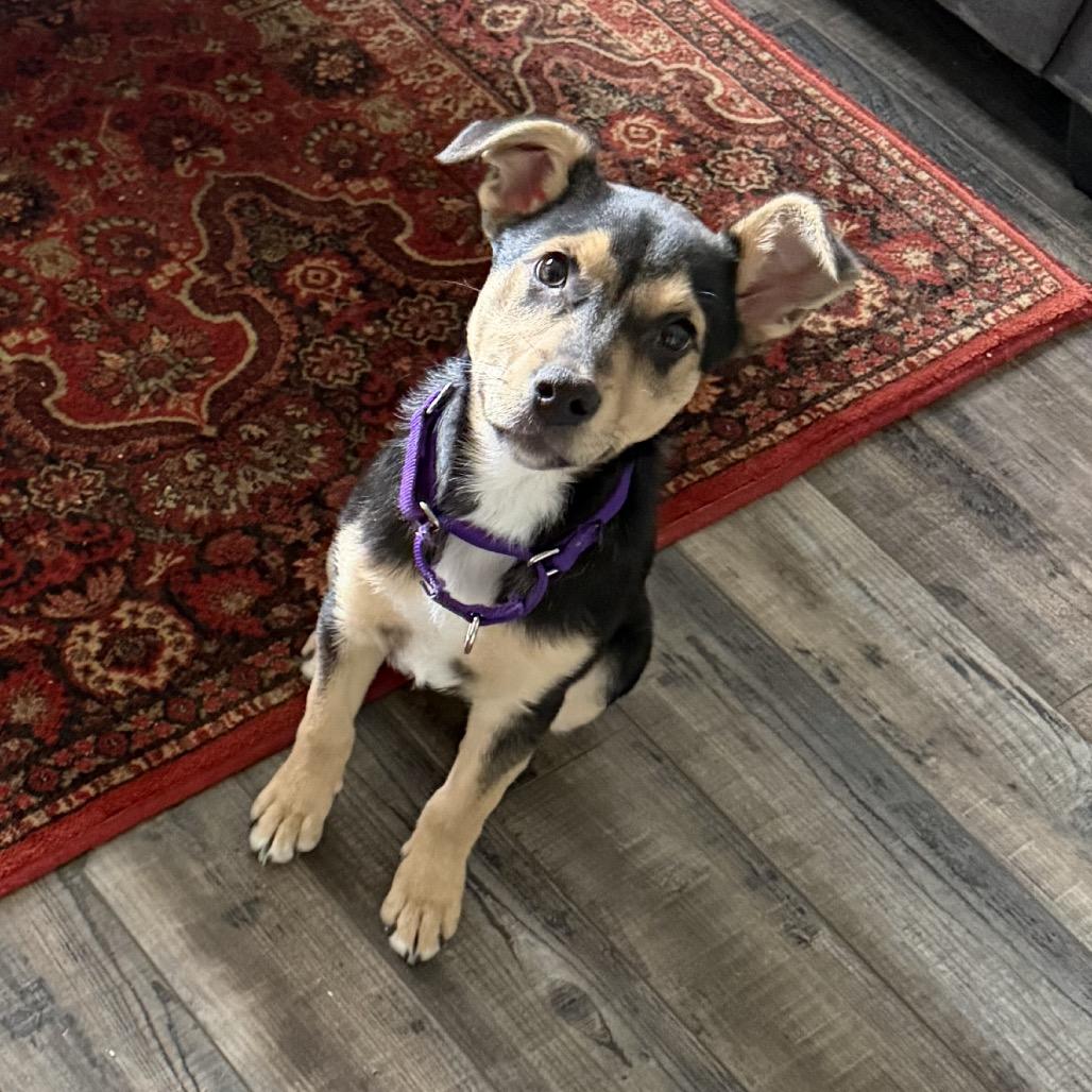 Dana — thumbnail 6